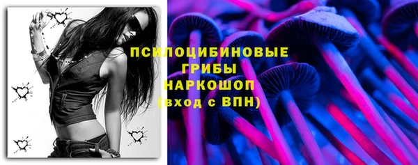 СК Богданович