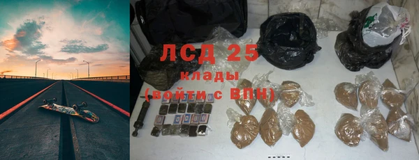 spice Богородск