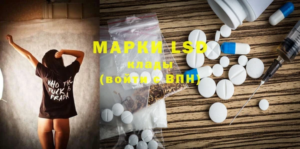 spice Богородск