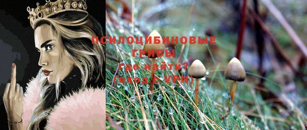 СК Богданович