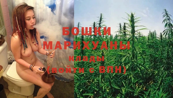 spice Богородск